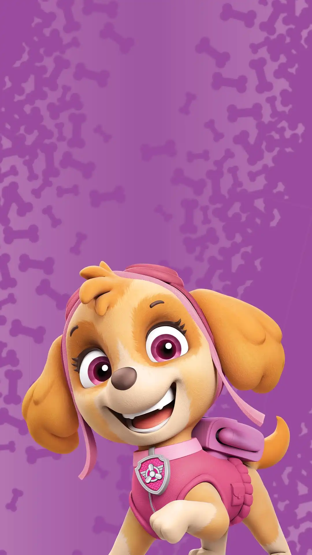 pawpatrol_009
